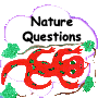 Nature Questions