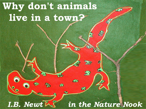 Animals in a Town?