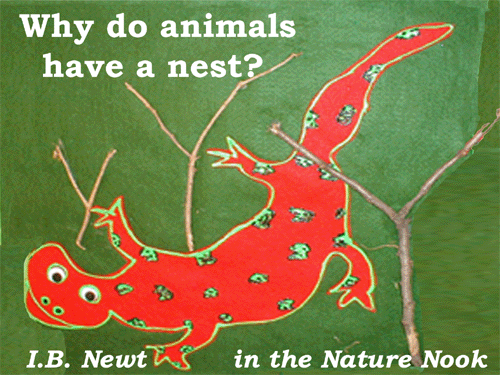 IBNewt in the Nature Nook asking, "Why?"