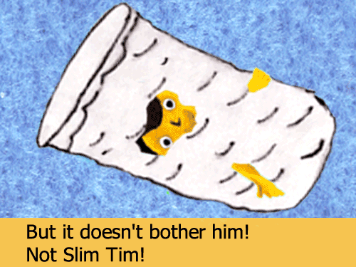 Slim Tim LaurieStorEBook