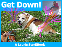 Get Down  LaurieStorEBook