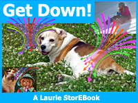 Get Down  Laurie StorEBook