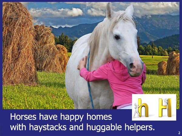 Happy Homes Laurie StorEBook