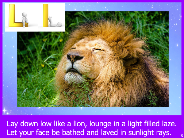 Live Like A Lion Laurie StorEBook