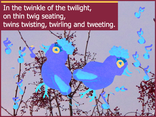 Tweeting Twins Laurie StorEBook