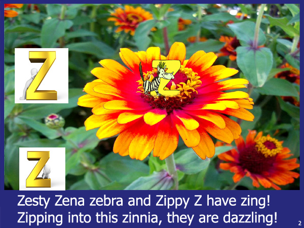 Zippy Z!  LaurieStorEBook