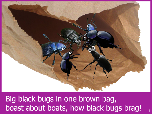 Black Bugs LaurieStorEBook