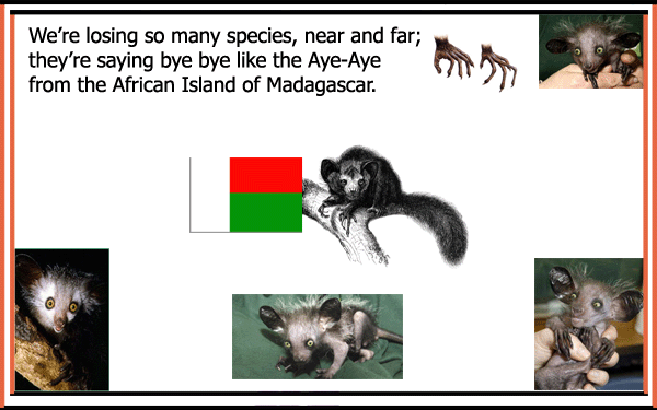 Endangered Species Rap LaurieStorEBook