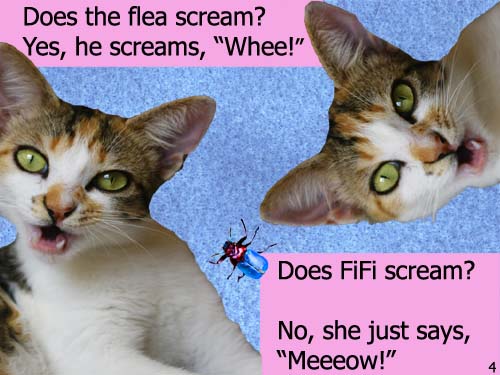 I Scream  LaurieStorEBook
