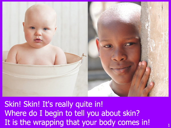 Skin LaurieStorEBook