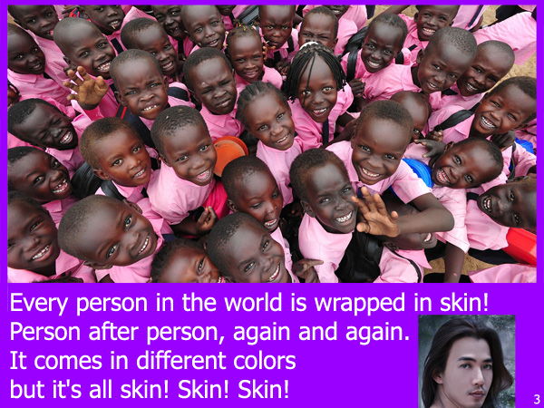 Skin LaurieStorEBook